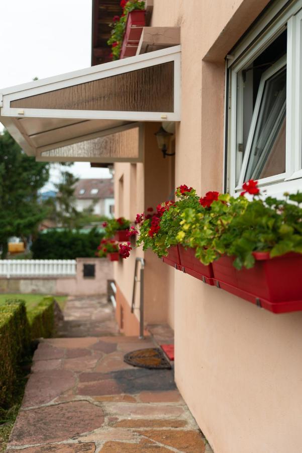 Gite Au Coeur De L'Alsace Maison Gatsby Staffelfelden エクステリア 写真