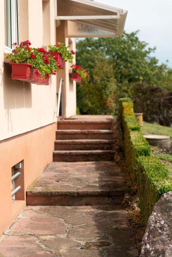 Gite Au Coeur De L'Alsace Maison Gatsby Staffelfelden エクステリア 写真